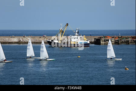 Un peschereccio con reti da traino possono essere visti sullo sfondo di lasciare il porto di Brixham, mentre derive entrare in porto dopo una gara. Foto Stock