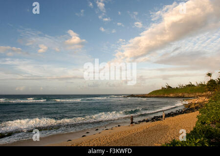 Punto Papawai beach. Maui. Hawaii. Il Pacific Whale Foundation sta offrendo gratuitamente una balena il whale watching informazioni stazione in Pa Foto Stock