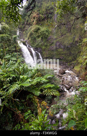 Cascate nel percorso della strada di Hana. Maui. Hawaii. Piscine Oheo Gulch Hana autostrada del Monte Haleakala Maui Hawaii Oceano Pacifico. T Foto Stock