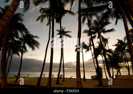 Tramonto sulla spiaggia di Waikiki Beach. Di O'ahu. Hawaii. Waikiki è il più famoso per le sue spiagge e ogni camera è solo due o tre Foto Stock