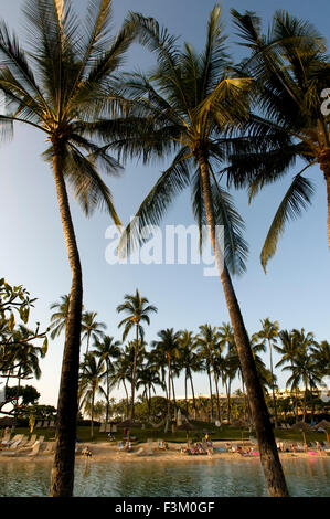 La laguna a Hilton Waikoloa Village con spiaggia e palme, la Big Island, Hawaii, Stati Uniti d'America. Foto Stock