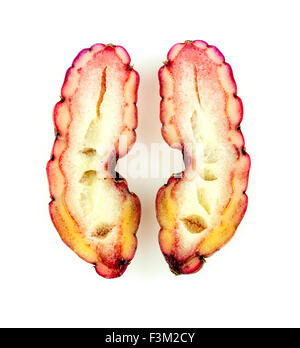 Rosa oca isolato Foto Stock