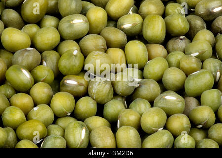 Macro di verde Mung bean Foto Stock