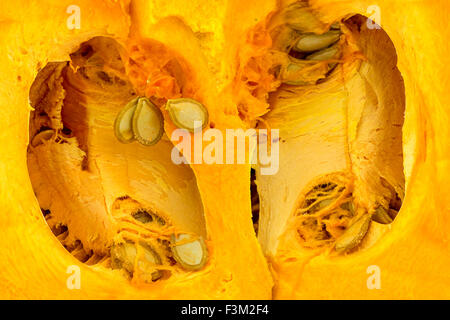 Texture di sfondo di interno di colore arancione zucca seminate Foto Stock