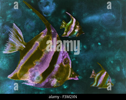 Pesci psichedelici in dark acqua turchese. La tamponando tecnica conferisce un morbido effetto di messa a fuoco a causa di alterata la rugosità superficiale Foto Stock