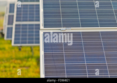 Photovoltaik pannelli solari in fila su di un prato verde Foto Stock
