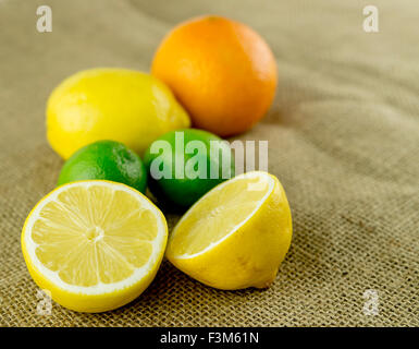 Agrumi, compresi i limoni limette e arance su sfondo vintage Foto Stock