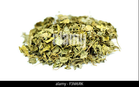 Fenugreek methi isolato Foto Stock