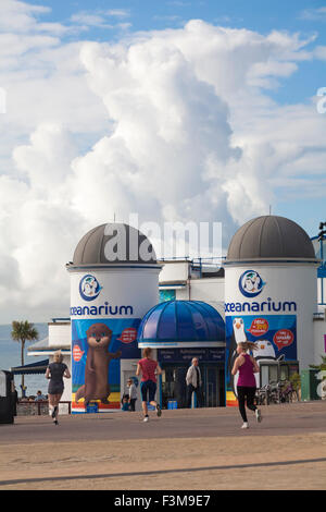 Oceanarium l'acquario di Bournemouth a Pier Approach, Bournemouth, Dorset, Regno Unito nel mese di ottobre Foto Stock