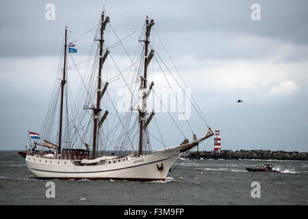 Tall Ship Artemis in mare avvicinando IJmuiden porto per la vela Amsterdam 2015 Foto Stock