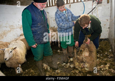 Brymore Academy,un'azienda scuola che insegna le attività agricole e agricolo di competenze e hanno la loro propria latteria,bovini, suini e ovini.Un REGNO UNITO Foto Stock