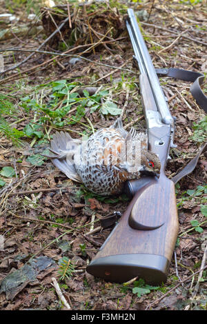 Pistola e la prese francolino di monte su una tavola di legno recante Foto Stock