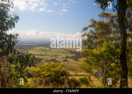 Abbassare la Hunter Valley vista generale inclusi vigneti e campi di lontane colline nei pressi di Cessnock NSW Australia Foto Stock