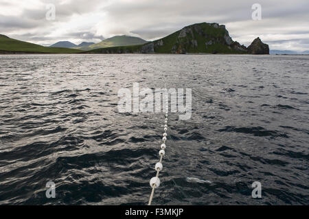 Fune,Costa,Alaska,Reti da imbrocco Foto Stock