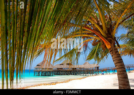 Tanzania, Arcipelago di Zanzibar, isola di Unguja (Zanzibar), Nungwi Foto Stock