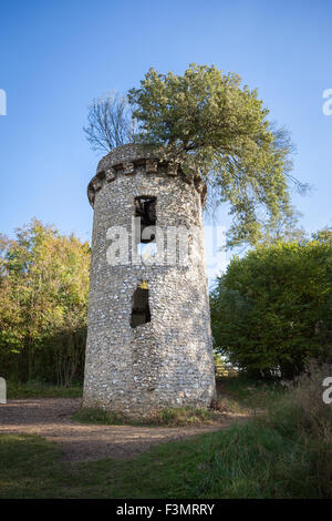 Broadwood's Folly Foto Stock