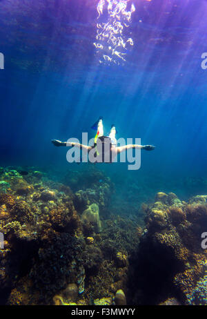 Giovane donna snorkeling in oceano. Foto Stock