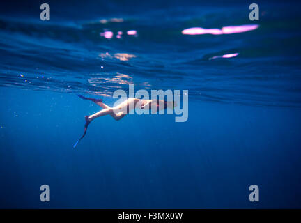 Giovane donna snorkeling in oceano. Foto Stock