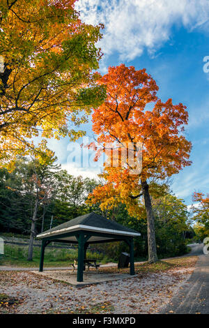 Un gazebo vuoto su una bella giornata autunnale, shot prese con un fisy-lente dell'occhio per la distorsione. Foto Stock