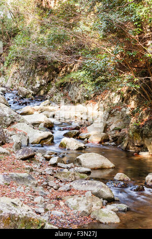 Mino, vicino a Osaka. Piccolo fiume fragoroso su roccia rendendo mini cascata. Liscia come seta effetto come acqua giri e si snoda sulle rocce. Foto Stock