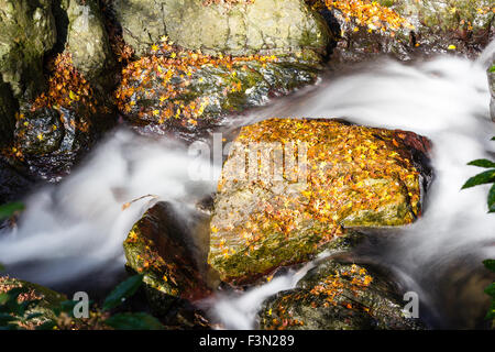 Mino, vicino a Osaka. Piccolo fiume fragoroso su roccia rendendo mini cascata. Liscia come seta effetto come acqua giri e si snoda sulle rocce. Foto Stock