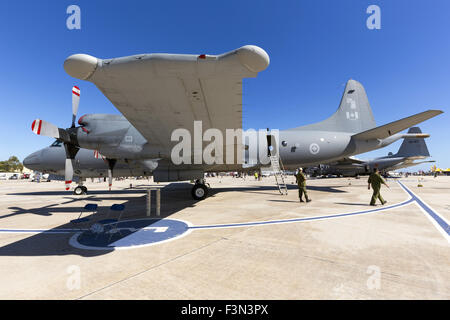 Canadian Air Force CP-140 Aurora, l equivalente del Navy US P-3C Orion. Foto Stock