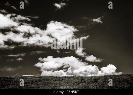 Bianco e nero cloudscape con grandi nuvole bianche sull'erba. Foto scattata in Transilvania, Romania. Foto Stock