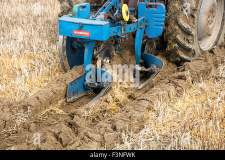 Il sessantacinquesimo nazionale britannico Campionato di aratura ha avuto luogo a Marden Kent REGNO UNITO Foto Stock