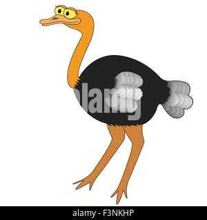 Ostrich isolati su sfondo bianco. Disegno a mano cartoon illustrazione vettoriale Illustrazione Vettoriale