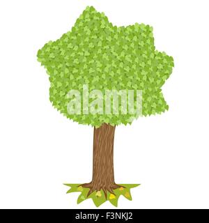 Albero con corona verde isolato su sfondo bianco. Modificabile illustrazione vettoriale Illustrazione Vettoriale