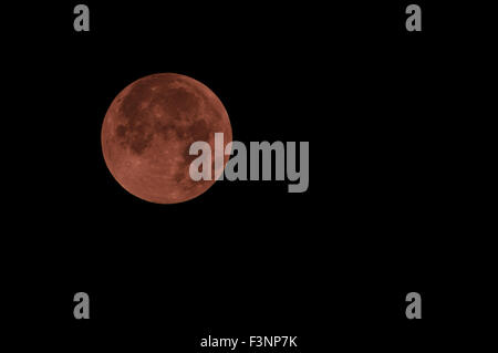 Firenze, Italia - Settembre 2015 - Sangue Luna Rossa durante il Lunar Eclipse. L'Italia, 2015 Foto Stock