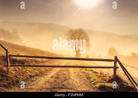 Sunrise mattina nei Carpazi montagna in Transilvania,Romania. In stile retrò filtro. Instagram effetto tonificante Foto Stock