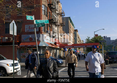 Harlem era una zona conosciuta dagli Indiani come Muscoota (Pianura) e utilizzato come un terreno fertile grazie alla sua terra fertile. In 1658, G Foto Stock