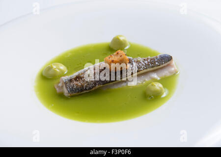 La Nouvelle Cuisine gourmet sardina piatto di pesce Foto Stock