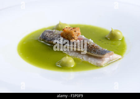 La Nouvelle Cuisine gourmet sardina piatto di pesce Foto Stock