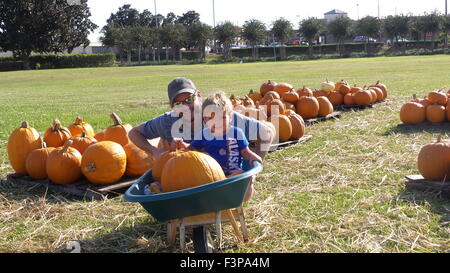 Houston, Stati Uniti d'America. 10 ottobre, 2015. Un uomo e suo figlio posano con una zucca per le foto al 9° pumpkin patch in Fort Bend County, vicino a Houston, Texas, Stati Uniti, 10 ottobre, 2015. Credito: Zhang Yongxing/Xinhua/Alamy Live News Foto Stock