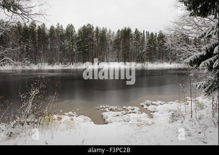 Lago di foresta in inizio di inverno Foto Stock