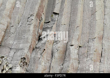 Scalatore solitario sul Devil's Tower monumento nazionale, Wyoming Foto Stock