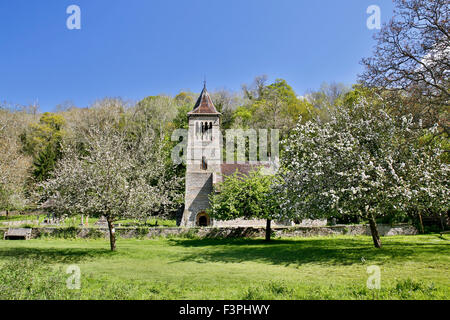 Welsh Bicknor Chiesa; Wye Valley Herefordshire; Regno Unito Foto Stock