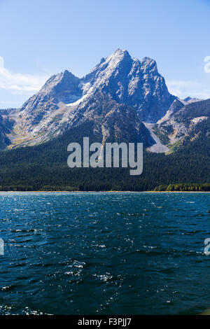 Montare Moran (12,605') visto dal lago Jackson; Teton Range; il Parco Nazionale del Grand Teton; Wyoming; USA Foto Stock