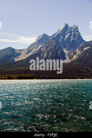 Montare Moran (12,605') visto dal lago Jackson; Teton Range; il Parco Nazionale del Grand Teton; Wyoming; USA Foto Stock