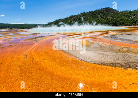 Grand Prismatic Spring; Midway Geyser Basin, il Parco Nazionale di Yellowstone, Wyoming USA