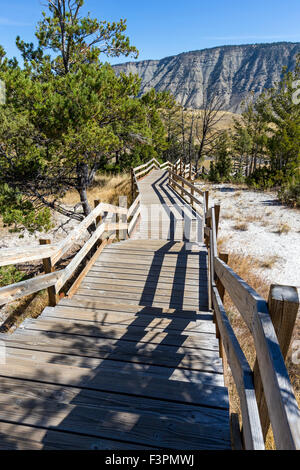Il Boardwalk; Mammoth Hot Springs; il Parco Nazionale di Yellowstone; Wyoming; USA Foto Stock
