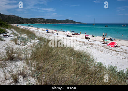 Spiaggia di Saleccia, Corsica, Francia Foto Stock