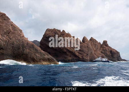 Le formazioni rocciose di la riserva naturale di Scandola, Corsica, Francia Foto Stock