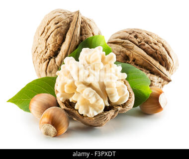 Noci con foglie e nocciole isolato su uno sfondo bianco. Foto Stock