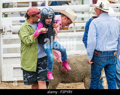 Bambino compete in equitazione di pecora, castrato bustin', evento, Chaffee County Fair & Rodeo, Salida, Colorado, STATI UNITI D'AMERICA Foto Stock