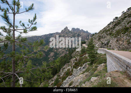 Aiguilles de Bavella visto dalla strada, Corsica, Francia Foto Stock
