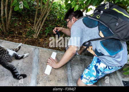 Key West Florida, Keys, Whitehhead Street, The Ernest Hemingway Home and Museum, Asian Asians etnia immigranti minoranza, adulti uomini male Foto Stock