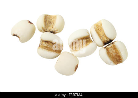 Orzo perlato grani su sfondo bianco Foto Stock